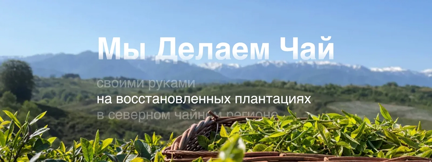 Чайная плантация MEGOBARI