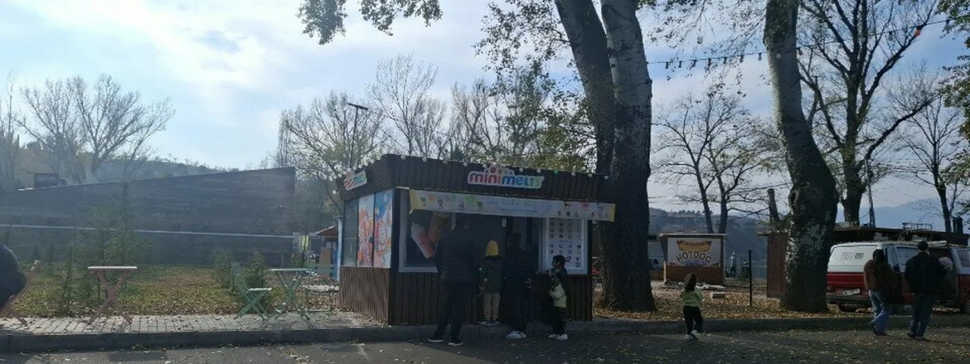 მინიმელტს