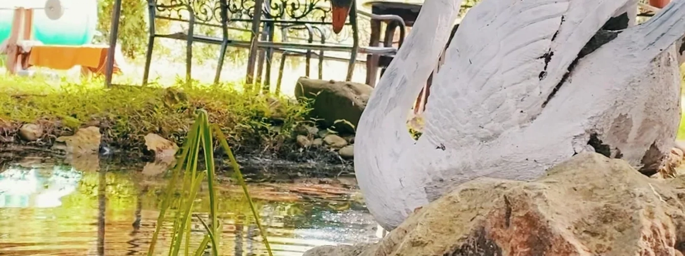 Aqua Resort