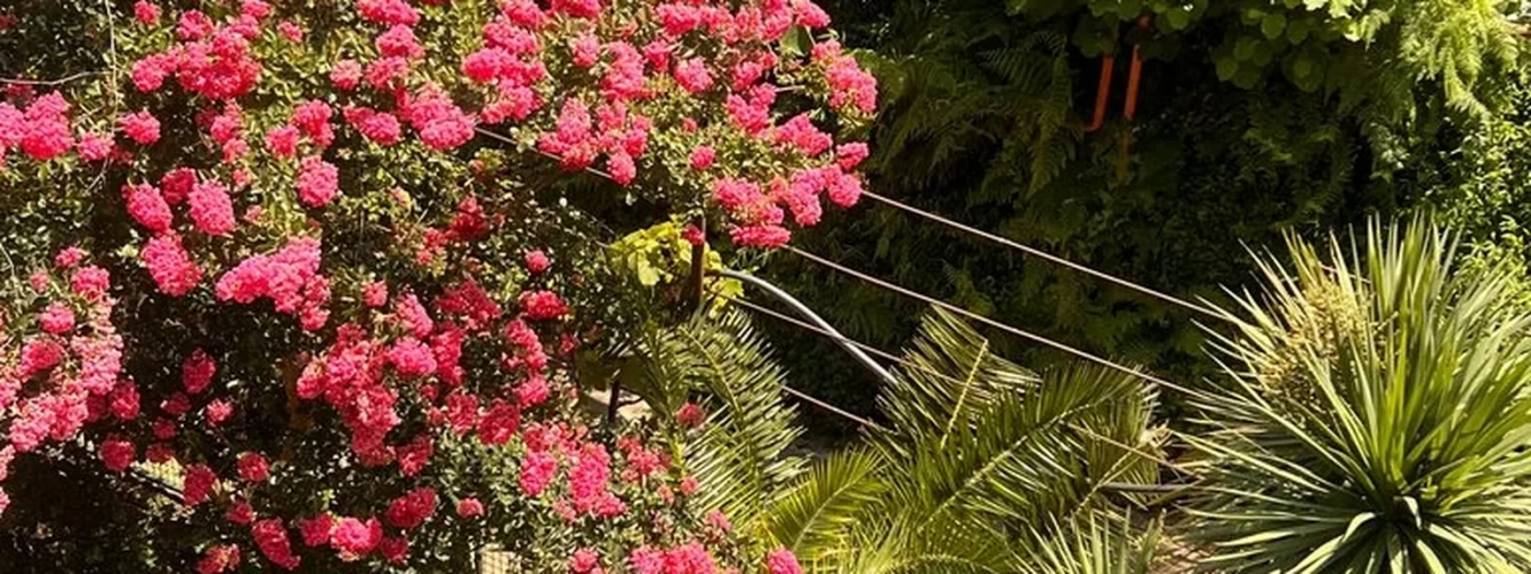 Green Garden Hotel