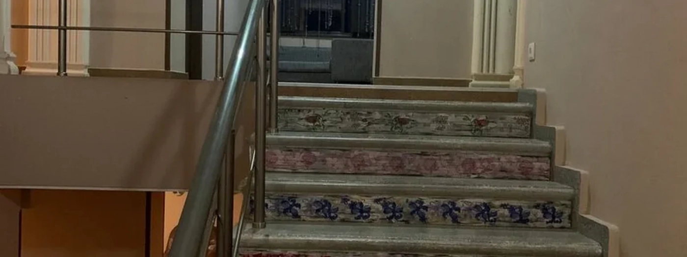 Hotel Metekhara