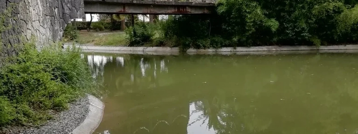 Nesnik