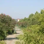 სურათი