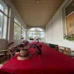 სურათი