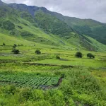 სურათი