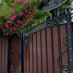სურათი