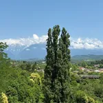 სურათი