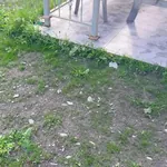 სურათი