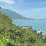 სურათი
