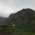 სურათი
