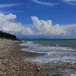 სურათი
