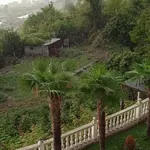 სურათი