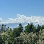 სურათი