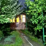 სურათი