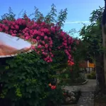 სურათი