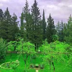 სურათი