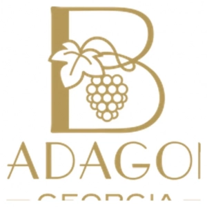 Badagoni