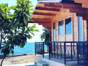 Platan House